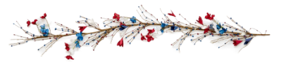 Patriotic 60